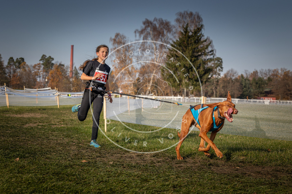CaniXpix_0L8A9313 | Hundefotografie, Tierfotograf, Pfotenfotografie, Fotoshooting Hund, Hunde Portrait, Hundesport, Hundeportraits, Heideshooting, Hunde, Sportfotograf, Hundefotograf, Turnierhundsport, THS,  - Realisiert mit Pictrs.com