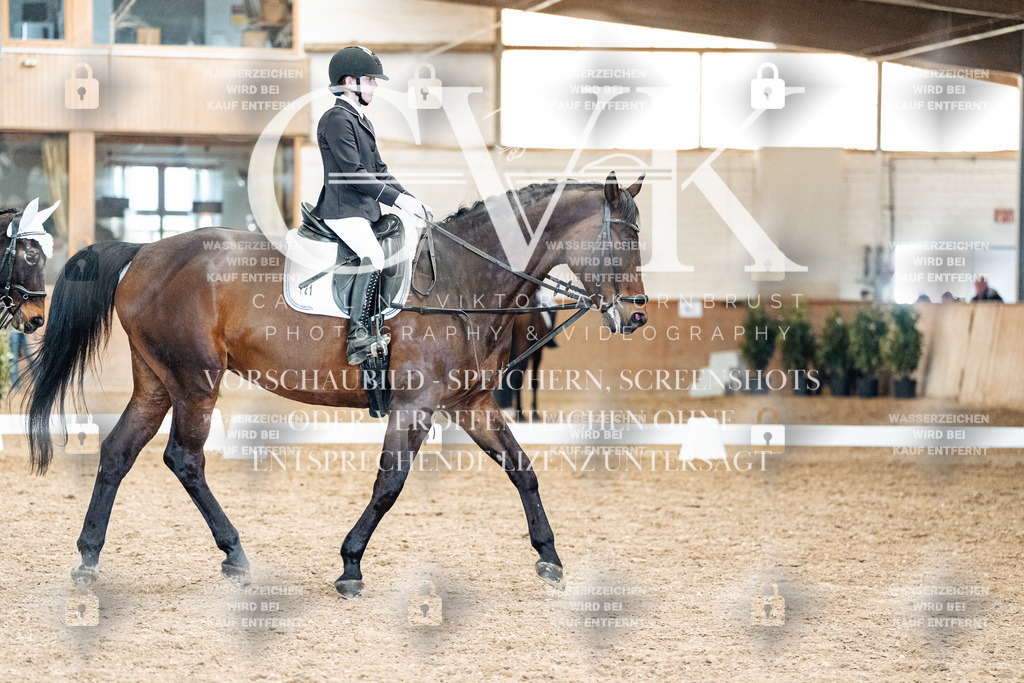 CK900309 | Turnierfotografie Pferdefotografie Trier Rheinland-Pfalz Pferdesport Reitsport Tierfotografie Sportfotografie Pferdevideo Pferdevideografie Equestrianvideography equestrianphotography  - Realisiert mit Pictrs.com