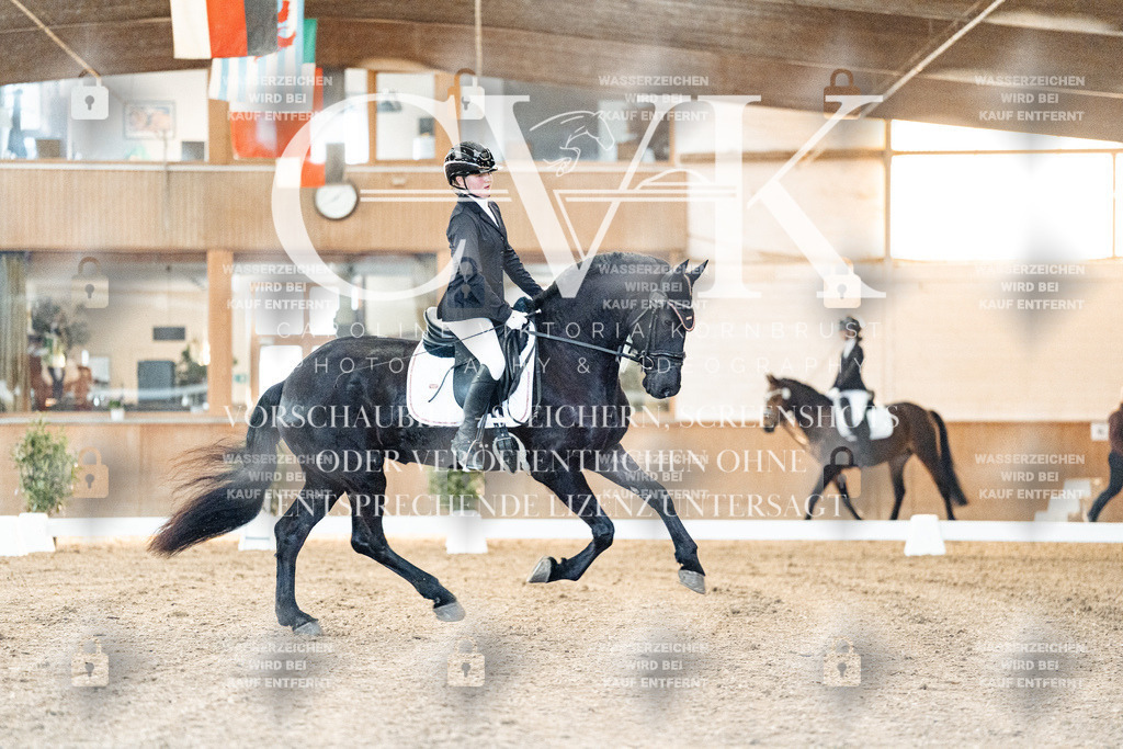 CK906519 | Turnierfotografie Pferdefotografie Trier Rheinland-Pfalz Pferdesport Reitsport Tierfotografie Sportfotografie Pferdevideo Pferdevideografie Equestrianvideography equestrianphotography  - Realisiert mit Pictrs.com