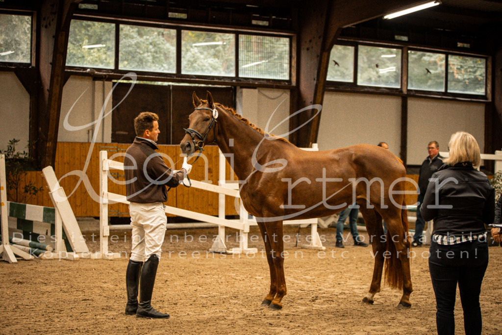 1FS_L00076 | Leoni Ertmer Photography - Realisiert mit Pictrs.com