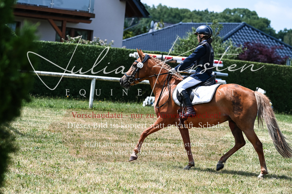 DSC_9664 | Pferde- und Turnierfotografie in Westsachsen. Pferdeportraits, Auftragszeichnungen und intuitive Kunst.