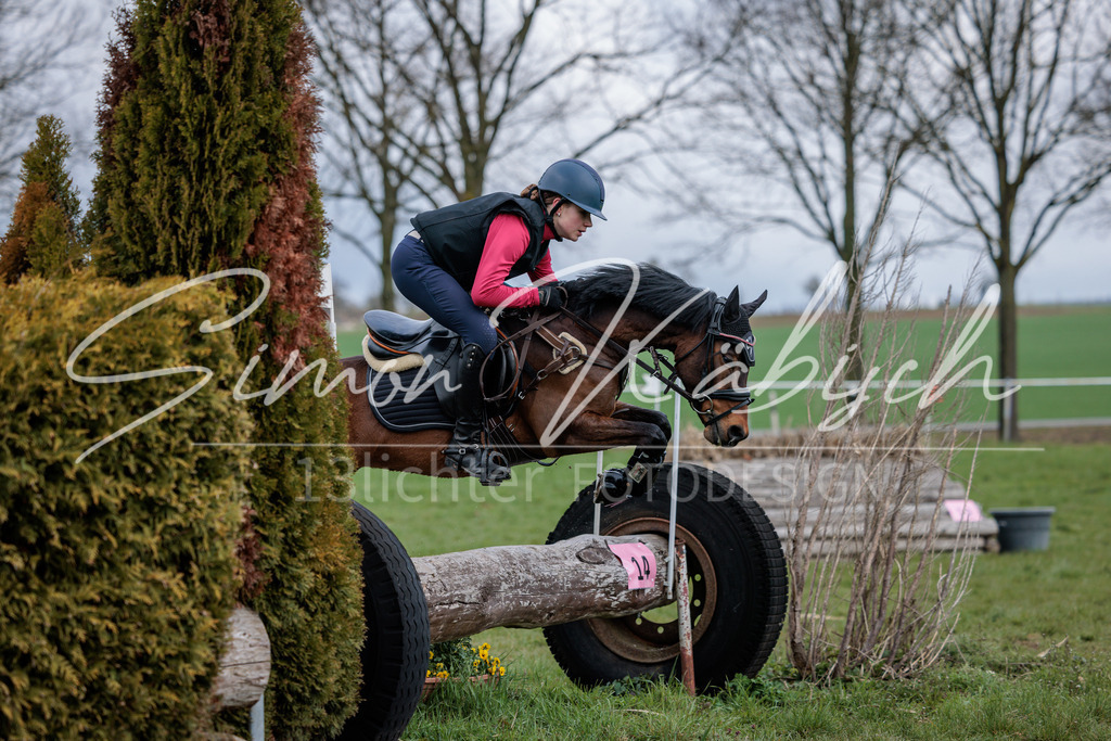 20260329-_3LI4590 | Tierfotografie Pferde, Hunde, Katzen, Haustiere.
Turnierfotografie Reitturniere, Reiten, Springreiten, Dressur in Hanau, dem Main-Kinzig-Kreis und dem Rhein-Main- Gebiet um Frankfurt