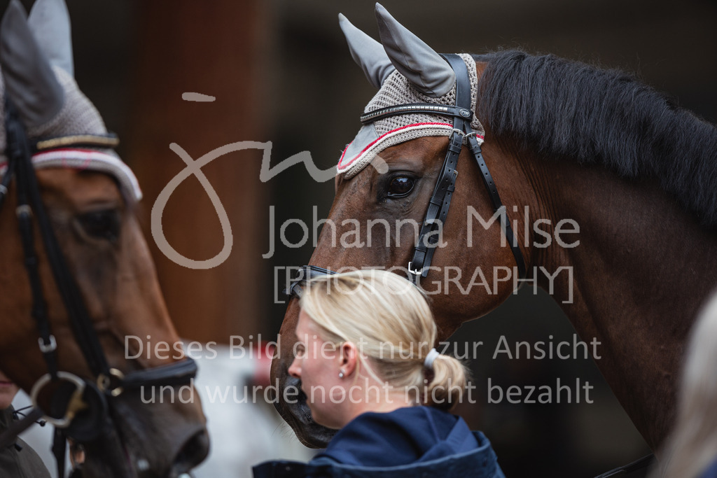 220910_OWLCh_ASC-Trophy-184 | Deine schönsten Turniermomente als professionelle Fotos! Entdecke hochwertige Pferdesport-Fotografie im Online-Shop. Jetzt Fotos finden & bestellen!