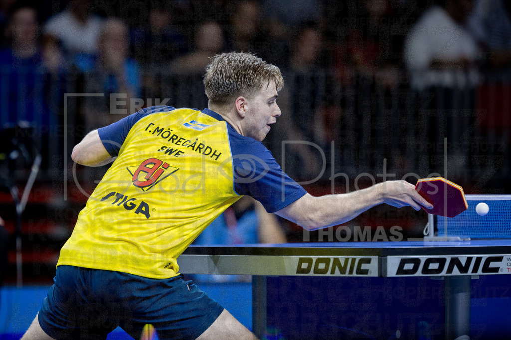 European_Championships_2024-10-19_199 | good-photos - Realizado com Pictrs.com