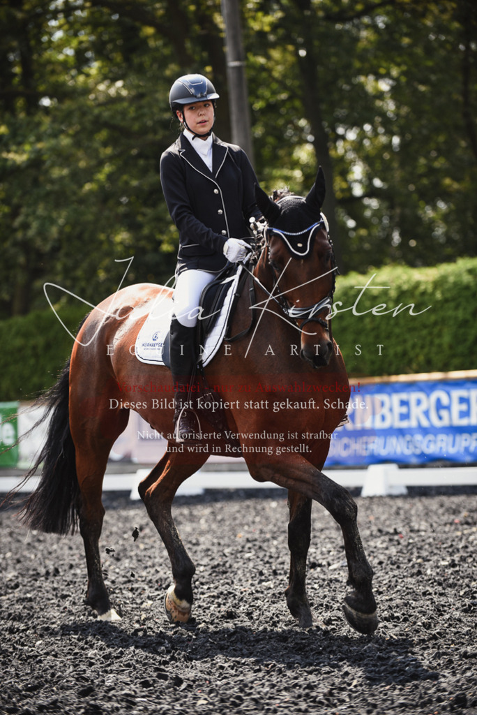DSC_4135 | Pferde- und Turnierfotografie in Westsachsen. Pferdeportraits, Auftragszeichnungen und intuitive Kunst.