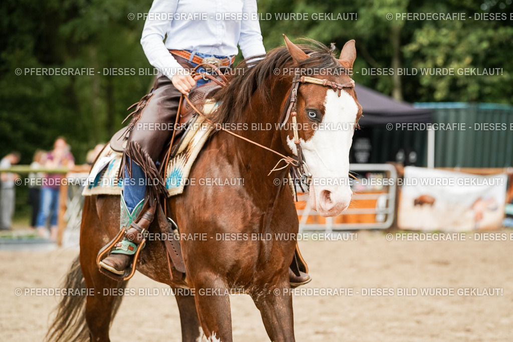 DSC09128 | Pferdegrafie