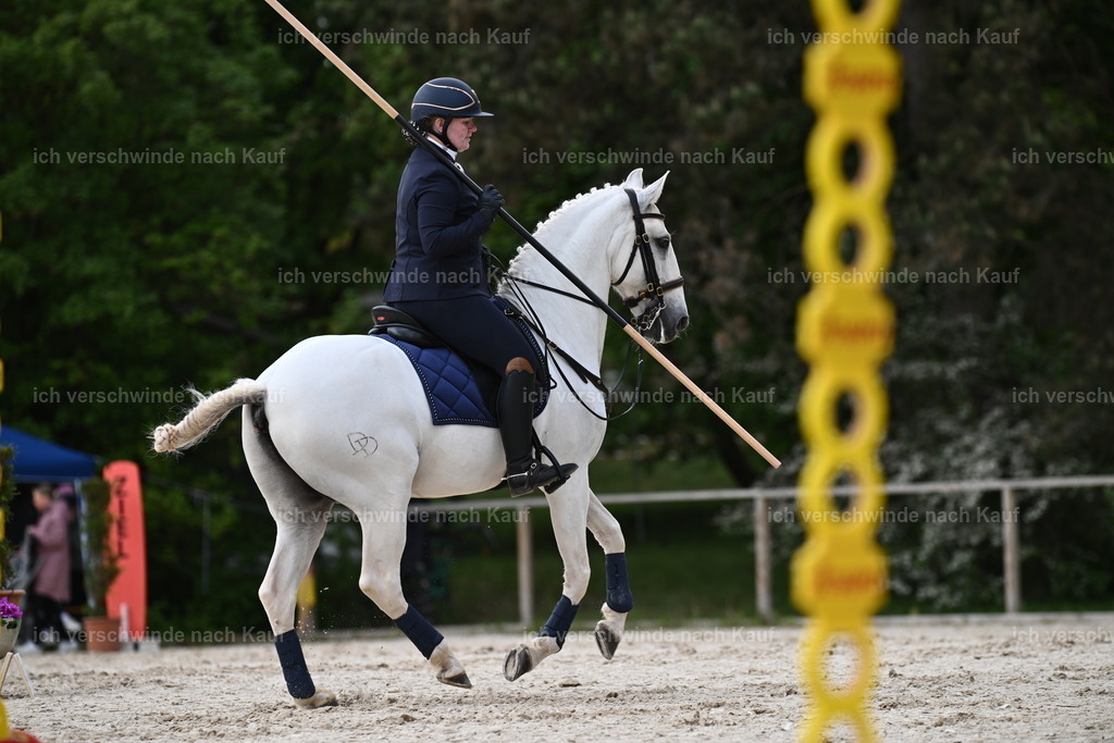 PI26_ST_Sara_Landvogt226_2463.JPG | working equitationturnier fotograf videograf stoibphotography marixx film working equitation deutschland reitsport turnierfotografie eventfotografie equestrian events