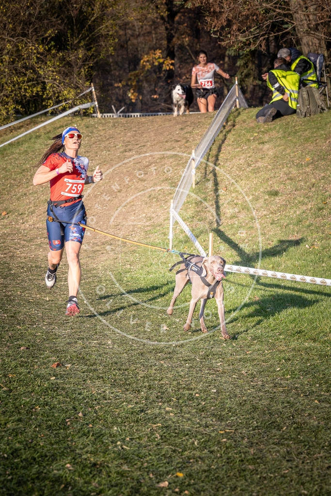 CaniXpix_0L8A9981 | Hundefotografie, Tierfotograf, Pfotenfotografie, Fotoshooting Hund, Hunde Portrait, Hundesport, Hundeportraits, Heideshooting, Hunde, Sportfotograf, Hundefotograf, Turnierhundsport, THS,  - Realisiert mit Pictrs.com
