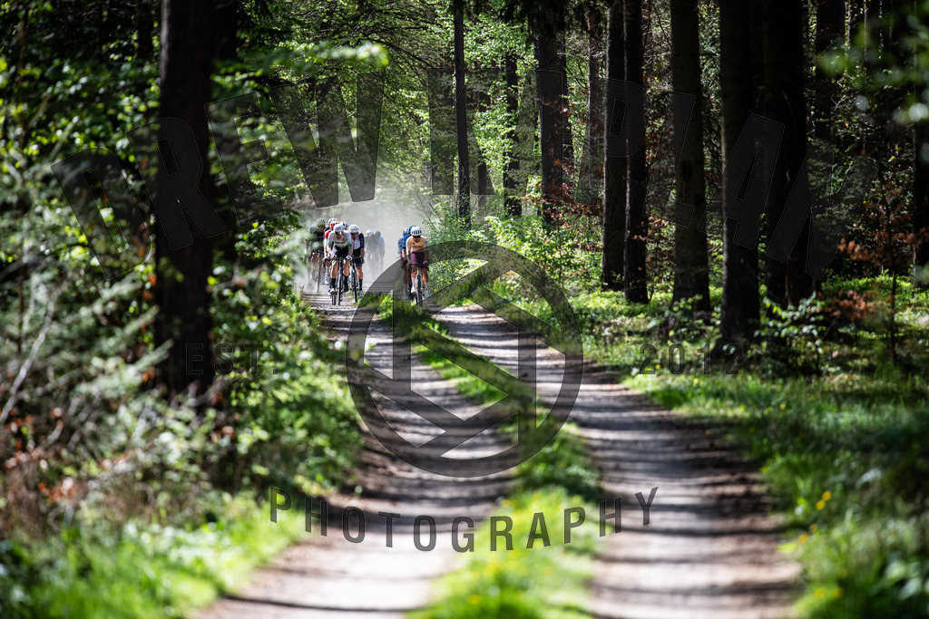 DKP-2099 | Drew Kaplan Photography