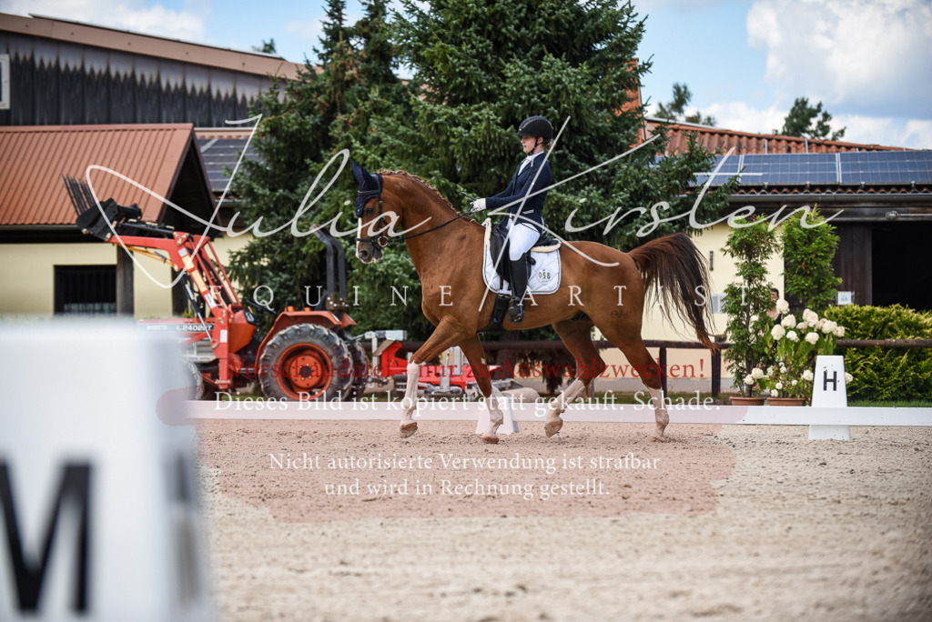 DSC_9367 | Pferde- und Turnierfotografie in Westsachsen. Pferdeportraits, Auftragszeichnungen und intuitive Kunst.