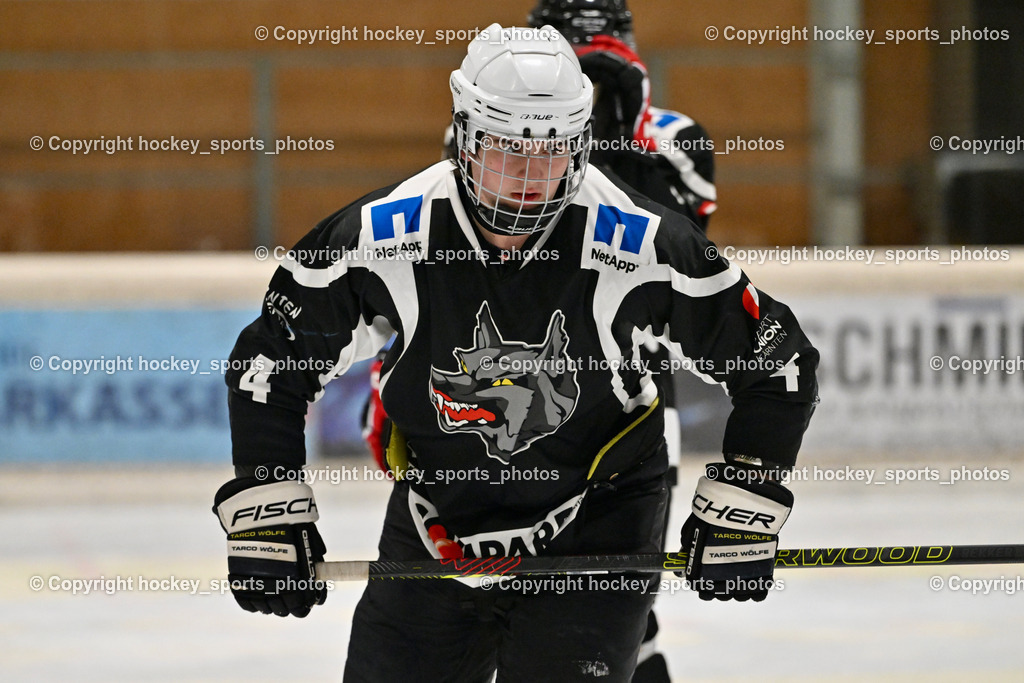 EC Tigers Paternion vs. Tarco Wölfe II | #4 Halbrainer Paul Tarco Wölfe II, EC Tigers Paternion vs. Tarco Wölfe II, EC Tigers Paternion vs. Tarco Wölfe II am 19.12.2024 in Spittal an der Drau (Eissportzentrum Spittal), Austria, (Photo by Bernd Stefan)