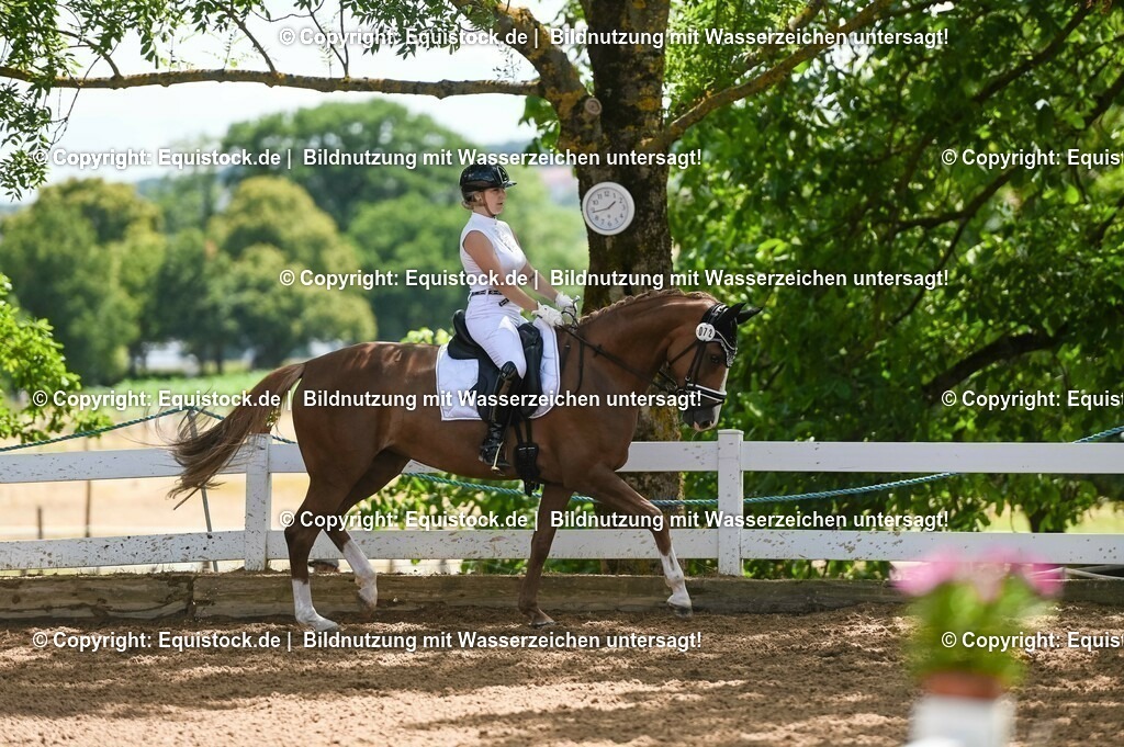 20230716_03_Dressurprfg. Kl.L - Tr._0493 | equistock