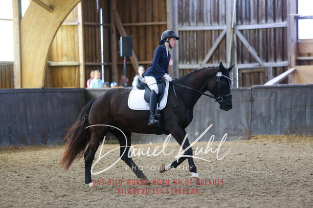 IMG_1043 | Turniersportfotografie; Pferdefotografie; Dressurfotografie