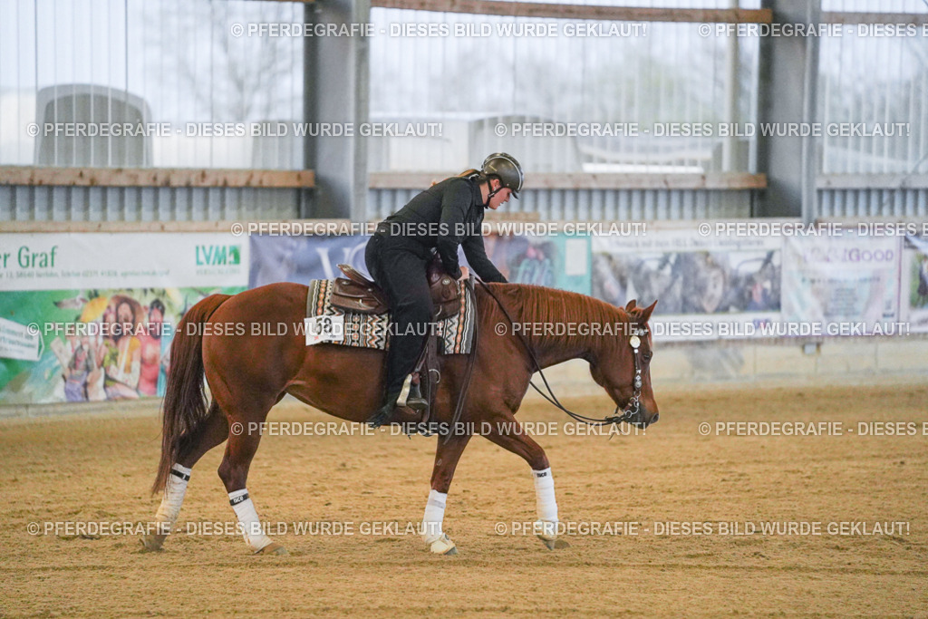 DSC09330 | Pferdegrafie