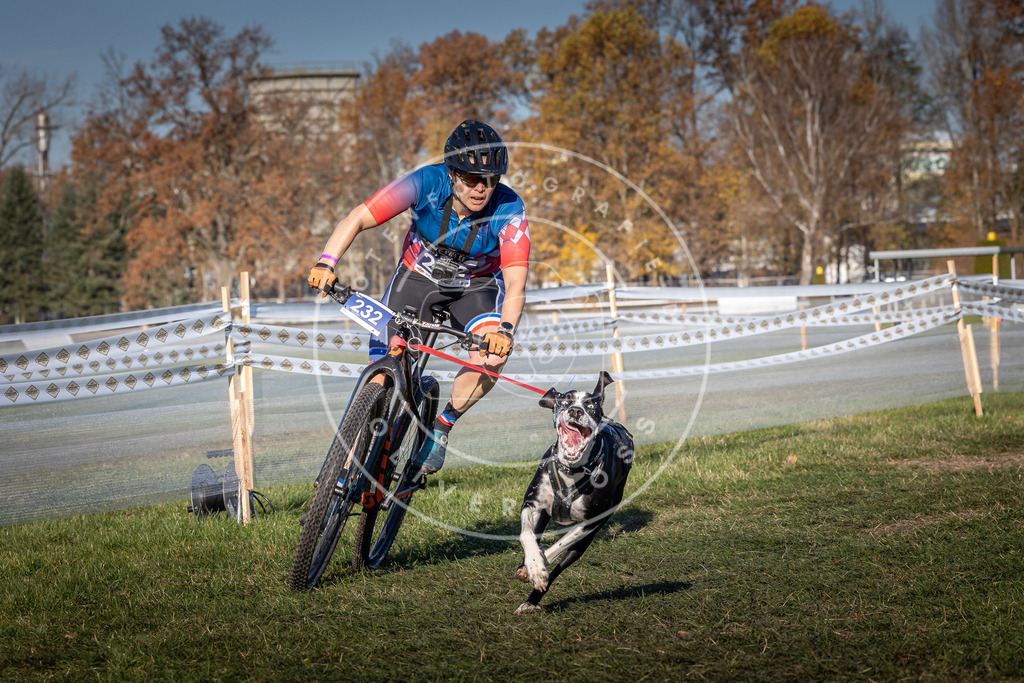 CaniXpix_0L8A4755 | Hundefotografie, Tierfotograf, Pfotenfotografie, Fotoshooting Hund, Hunde Portrait, Hundesport, Hundeportraits, Heideshooting, Hunde, Sportfotograf, Hundefotograf, Turnierhundsport, THS,  - Realisiert mit Pictrs.com