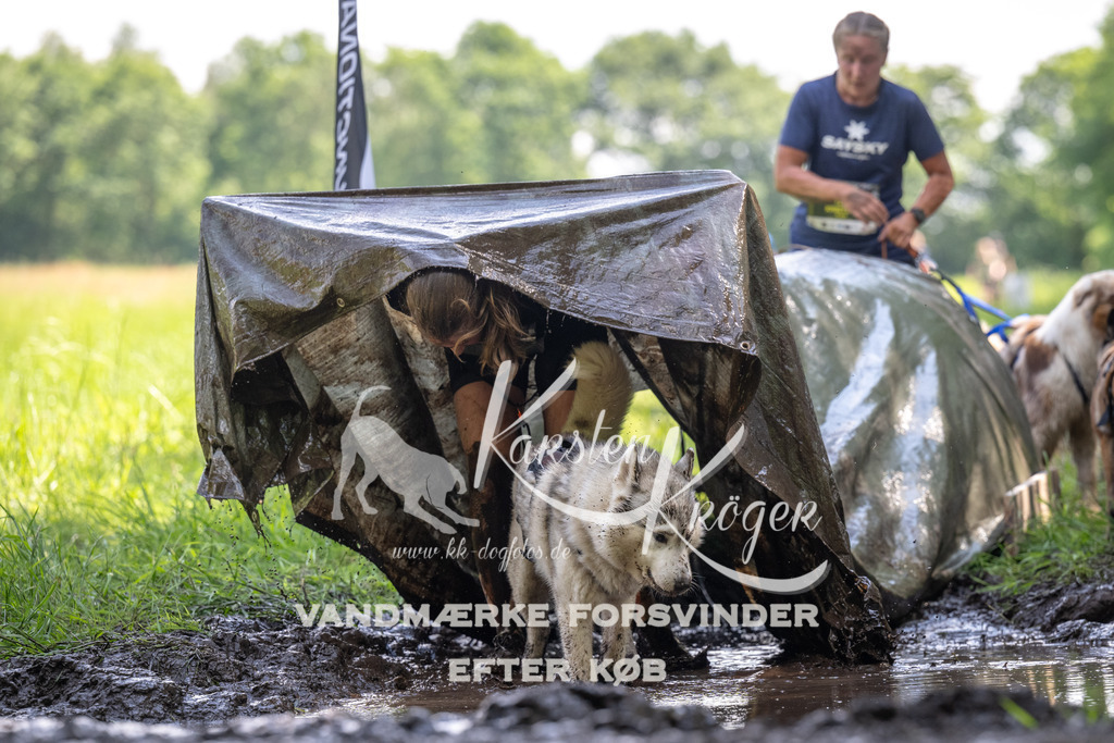 1157_ZZ90416 | kk-dogfotos