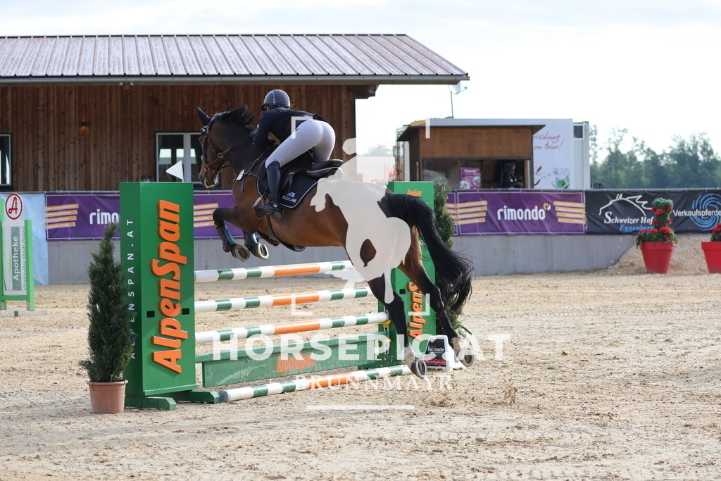 0P6A5861 | Willkommen bei Brunnmayr - Design & Fotografie – Ihrem Spezialisten für Reitturniere und Pferdeveranstaltungen in Oberösterreich, Salzburg und Bayern! Seit über 17 Jahren sind wir leidenschaftlich dabei.
