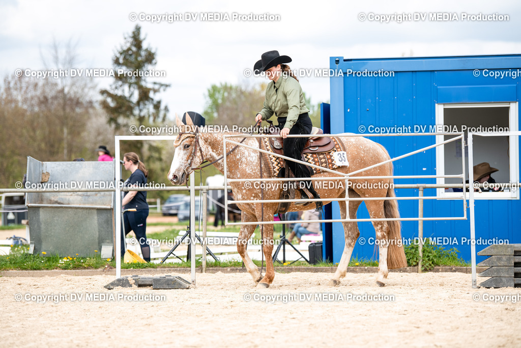 Heiligenwald Tag 1-797 | dv-media-shop - Realisiert mit Pictrs.com