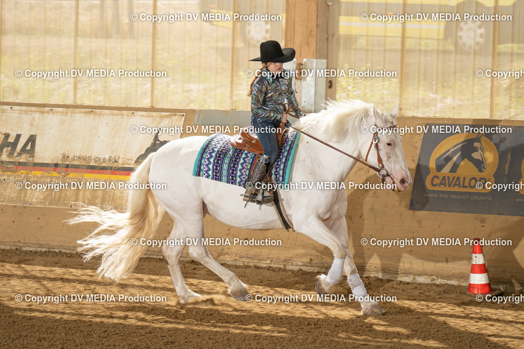 LAU01745 | dv-media-shop - Realisiert mit Pictrs.com