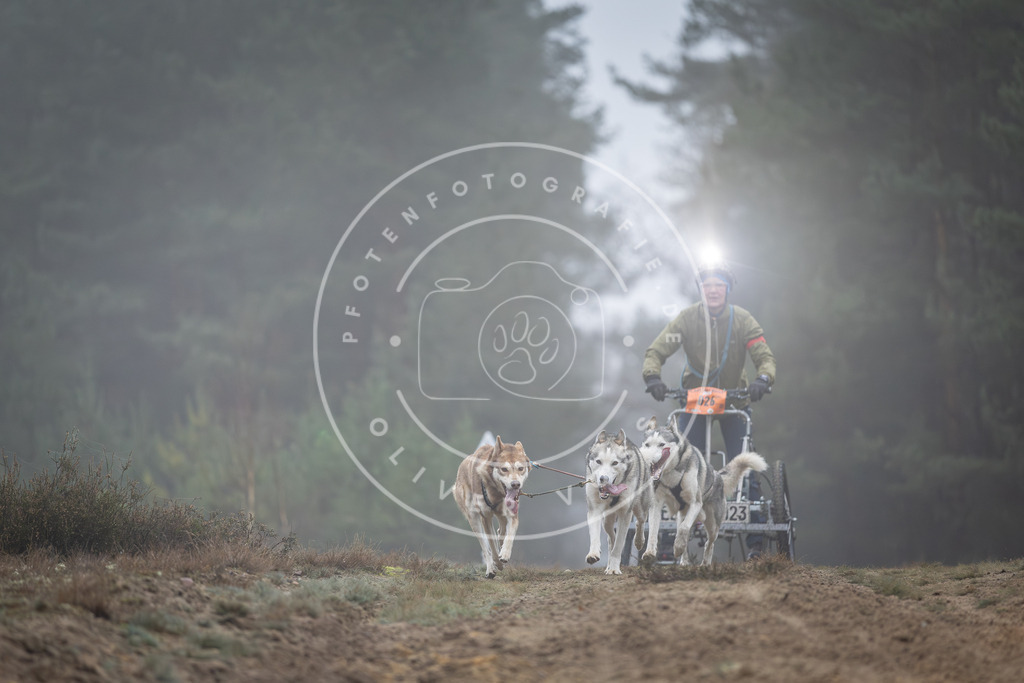 Pfotenfotografie_DV3A0639 | Hundefotografie, Tierfotograf, Pfotenfotografie, Fotoshooting Hund, Hunde Portrait, Hundesport, Hundeportraits, Heideshooting, Hunde, Sportfotograf, Hundefotograf, Turnierhundsport, THS,  - Realisiert mit Pictrs.com