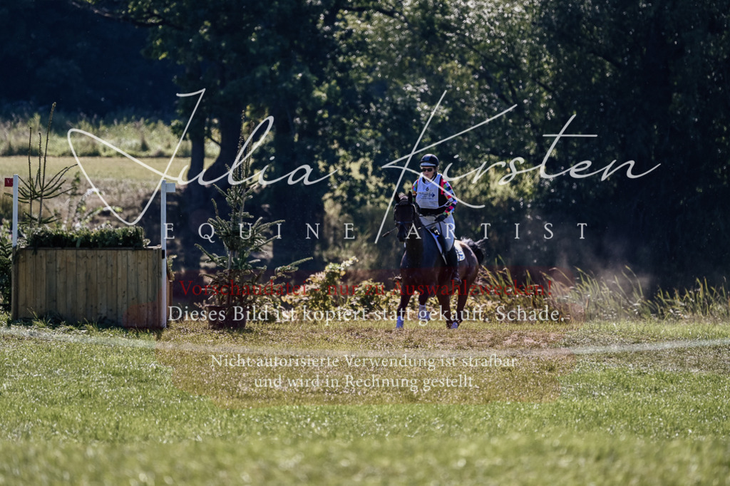 DSC_1536 | Pferde- und Turnierfotografie in Westsachsen. Pferdeportraits, Auftragszeichnungen und intuitive Kunst.