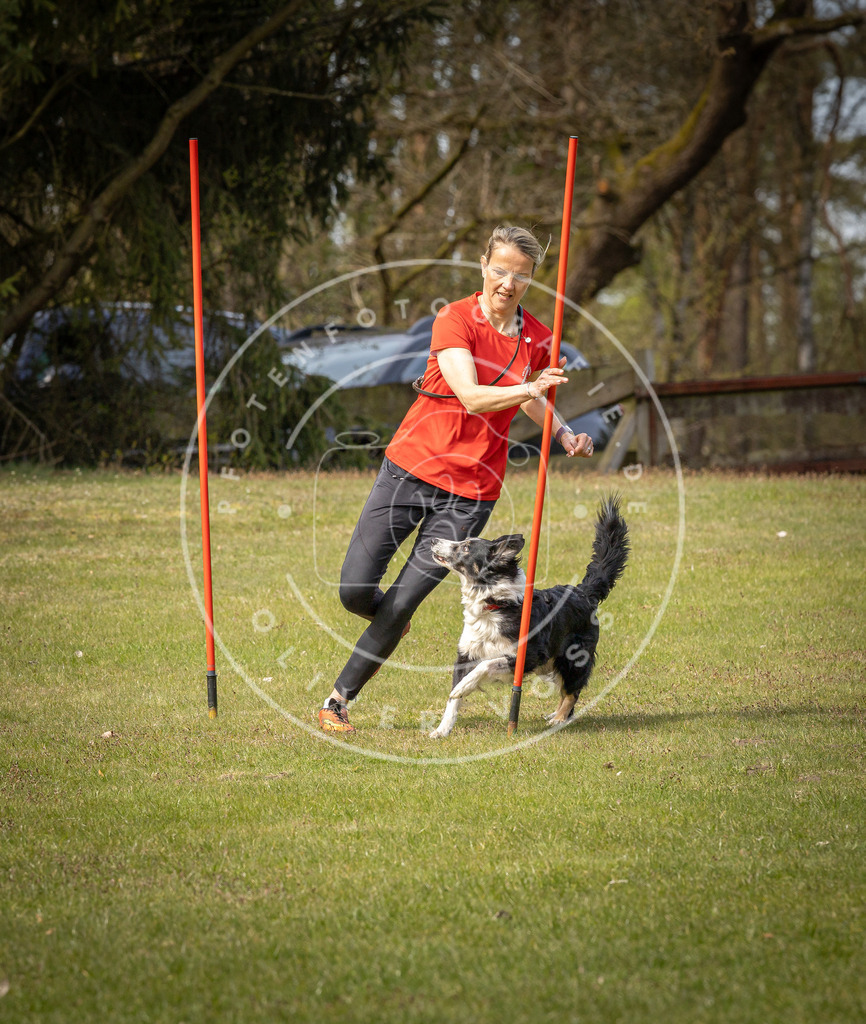 Pfotenfotografie_DV3A7622 | Hundefotografie, Tierfotograf, Pfotenfotografie, Fotoshooting Hund, Hunde Portrait, Hundesport, Hundeportraits, Heideshooting, Hunde, Sportfotograf, Hundefotograf, Turnierhundsport, THS,  - Realisiert mit Pictrs.com