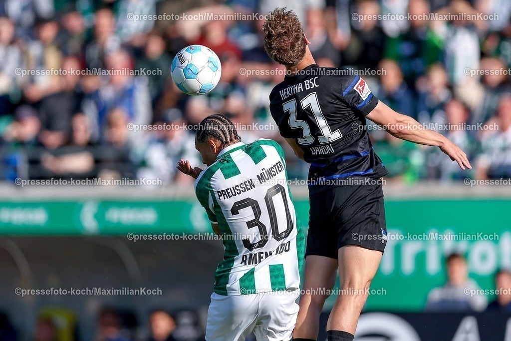 SCP09052501037 | 09.05.2025, Fußball, Preußen Münster - Hertha BSC, 2. Fußball Bundesliga, 33. Spieltag, Preußenstadion, Saison 2024 2025: Etienne Amenyido (Preussen Muenster #30) im Zweikampf gegen Marton Dardai (Hertha BSC #31) DFB regulations prohibit any use of photographs as image sequences and or quasi-video.