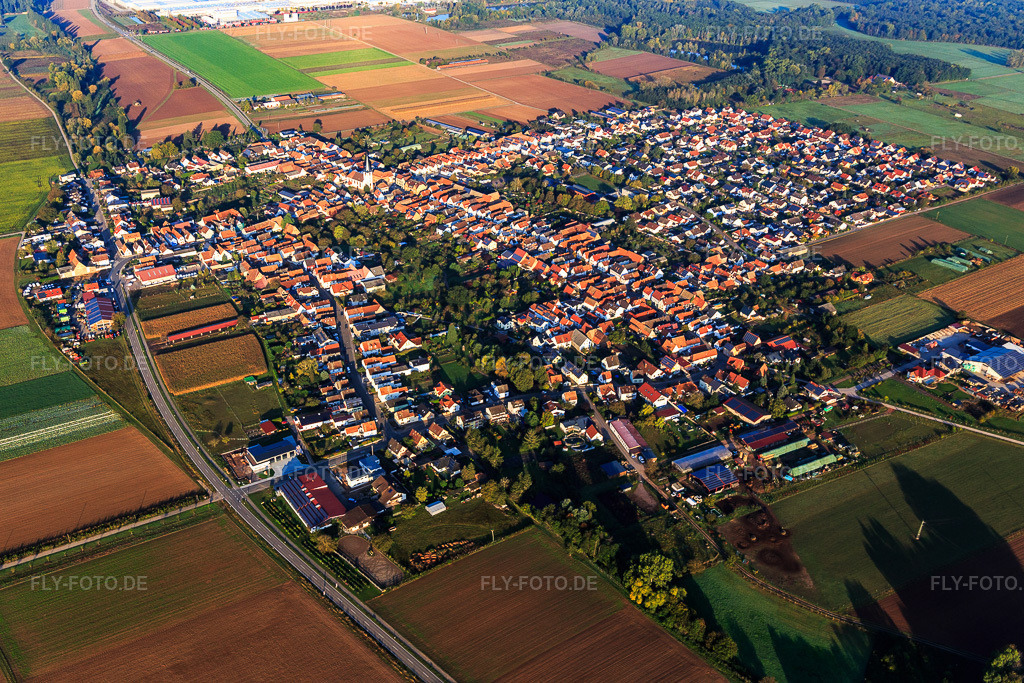Luftbild: Ortsansicht von Südosten in Ottersheim bei Landau im Bundesland Rheinland-Pfalz in Deutschland. Foto: IMG_129811.jpg vom 10.10.2021 durch Werner Riehm/FLY-FOTO.de