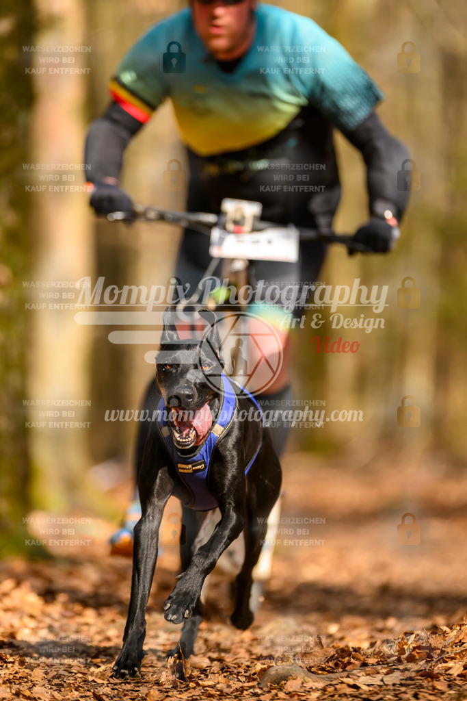 MompixPhotography_Habay2025_SA_SCO-18 | PayLife