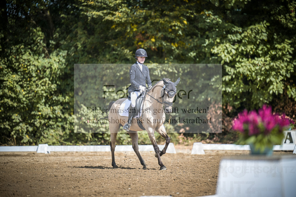 DOS_0748 | Entdecke hochwertige Reitturnierfotos von Foto Oger. Professionell, emotional und authentisch – jetzt Lieblingsmomente im Shop bestellen.Deutschlandweite Turnierfotografie. - Realisiert mit Pictrs.com