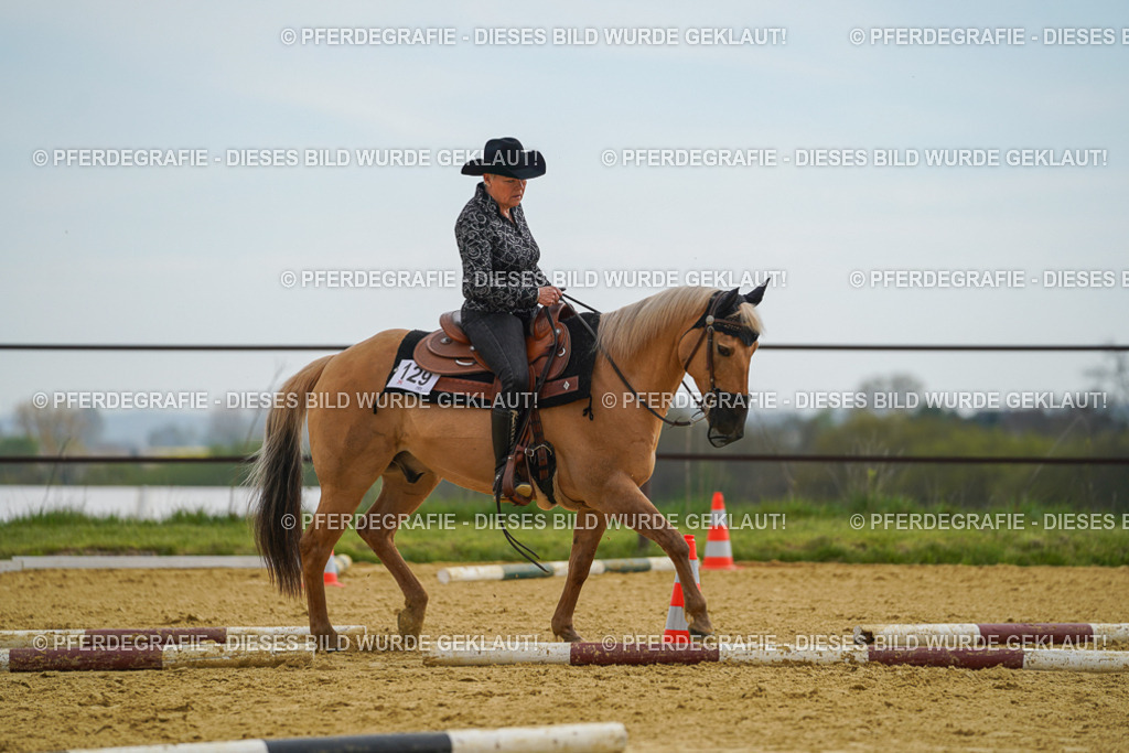 DSC02316 | Pferdegrafie