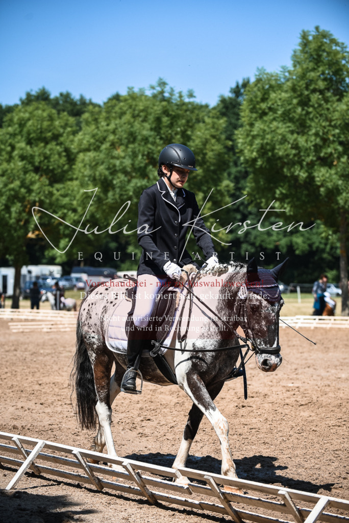 DSC_3197 | Pferde- und Turnierfotografie in Westsachsen. Pferdeportraits, Auftragszeichnungen und intuitive Kunst.