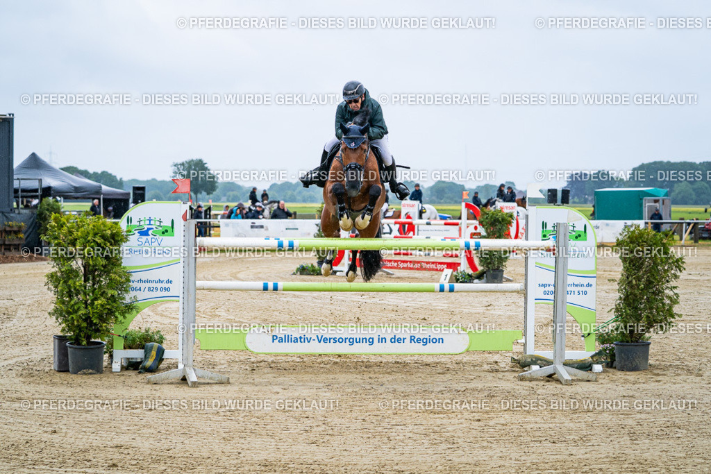 DSC09791 | Pferdegrafie