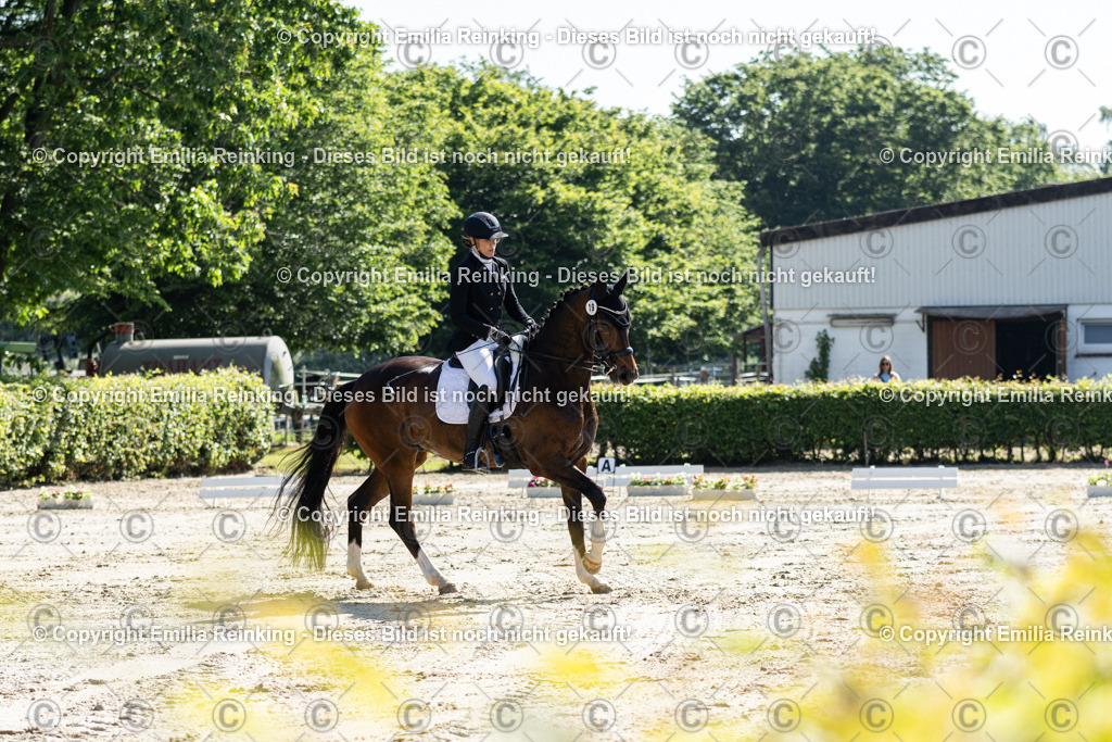 CL5A7086 | Emilia Reinking Fotografie - Realisiert mit Pictrs.com