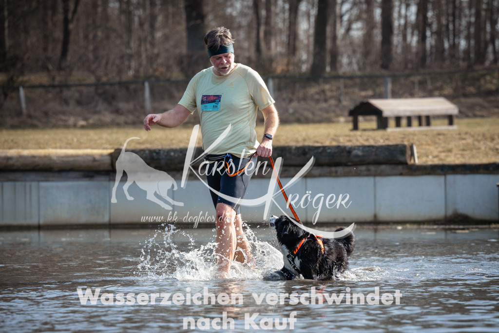 1156_ZZ97488 | kk-dogfotos