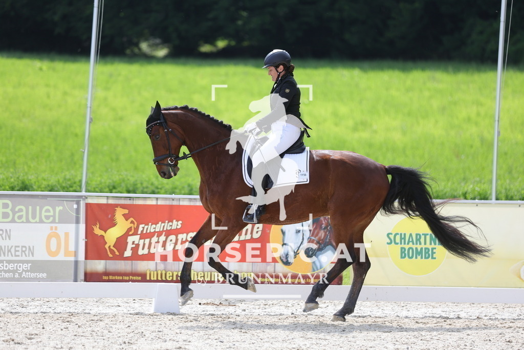 0P6A6168 | Willkommen bei Brunnmayr - Design & Fotografie – Ihrem Spezialisten für Reitturniere und Pferdeveranstaltungen in Oberösterreich, Salzburg und Bayern! Seit über 17 Jahren sind wir leidenschaftlich dabei.