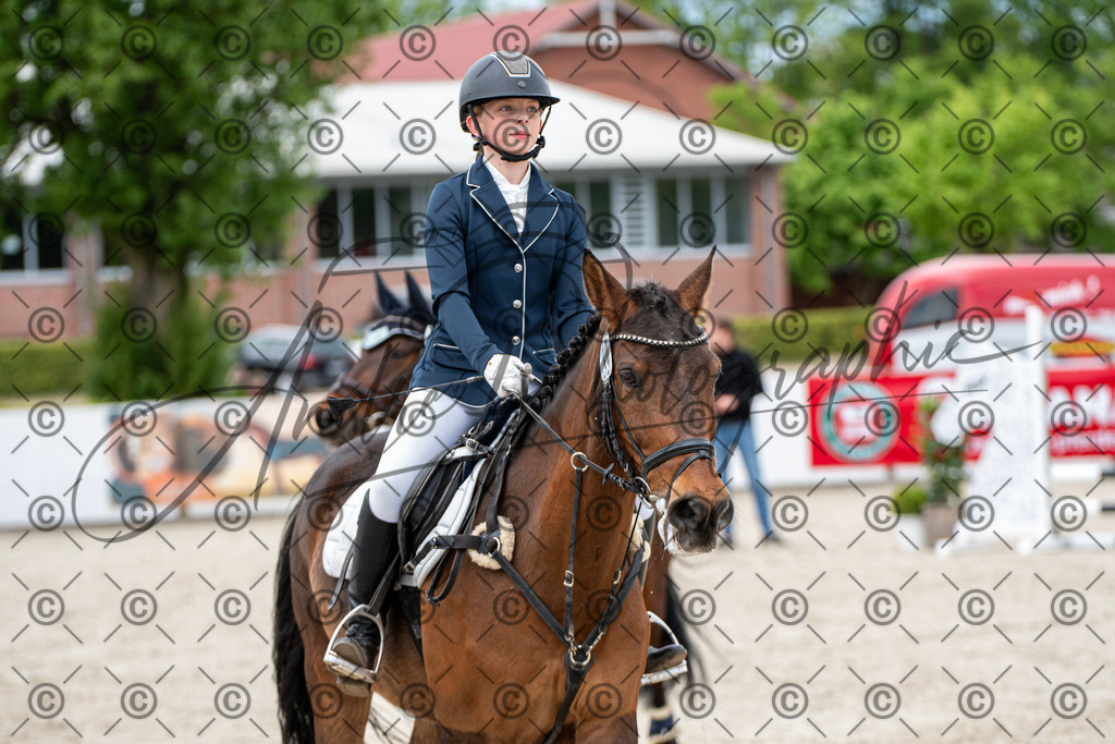 KPT_5864 | andre_photographic