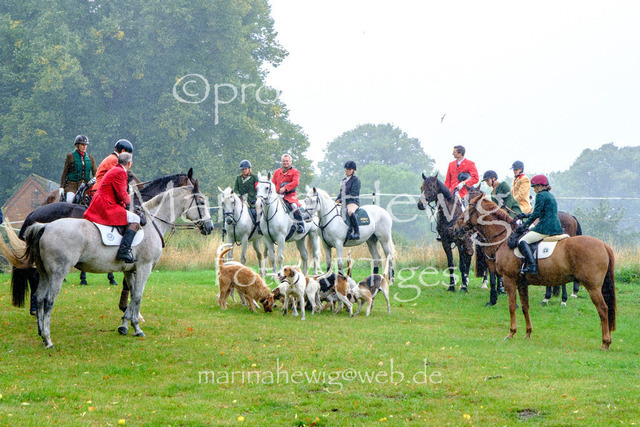 Jagd Kletkamp 26-9508_MarinaHewig | Fotografie, FotoArt, PferdesportArt, Pferdesportfotografie, Landschaftsfotografie, Reisefotografie, Reise, Pferde - Realisiert mit Pictrs.com