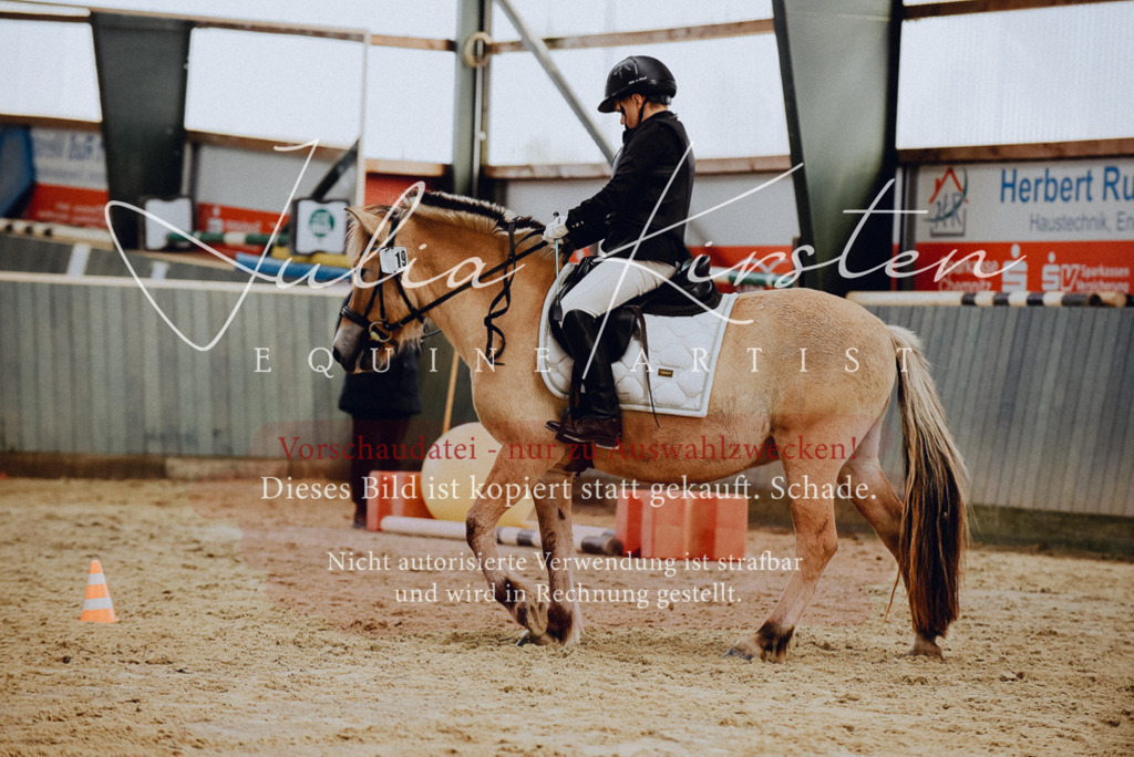 DSC_6821 | Pferde- und Turnierfotografie in Westsachsen. Pferdeportraits, Auftragszeichnungen und intuitive Kunst.