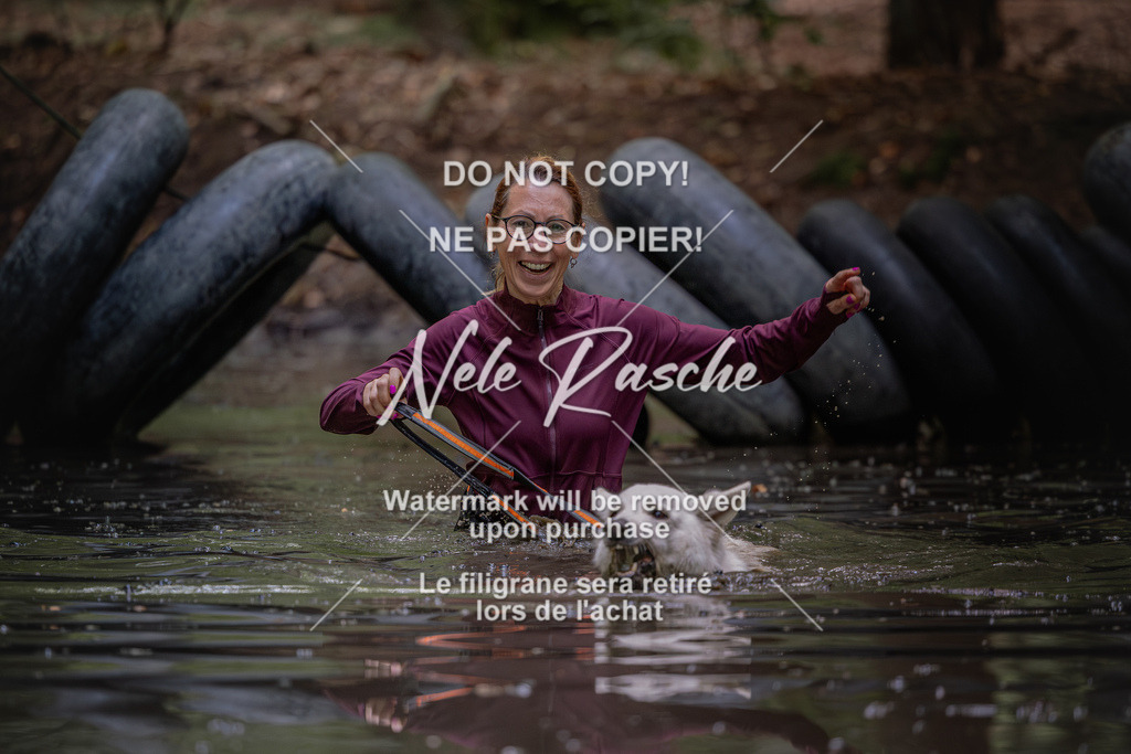 nelerasche_SaWingst1400-1500_33 | nelerasche