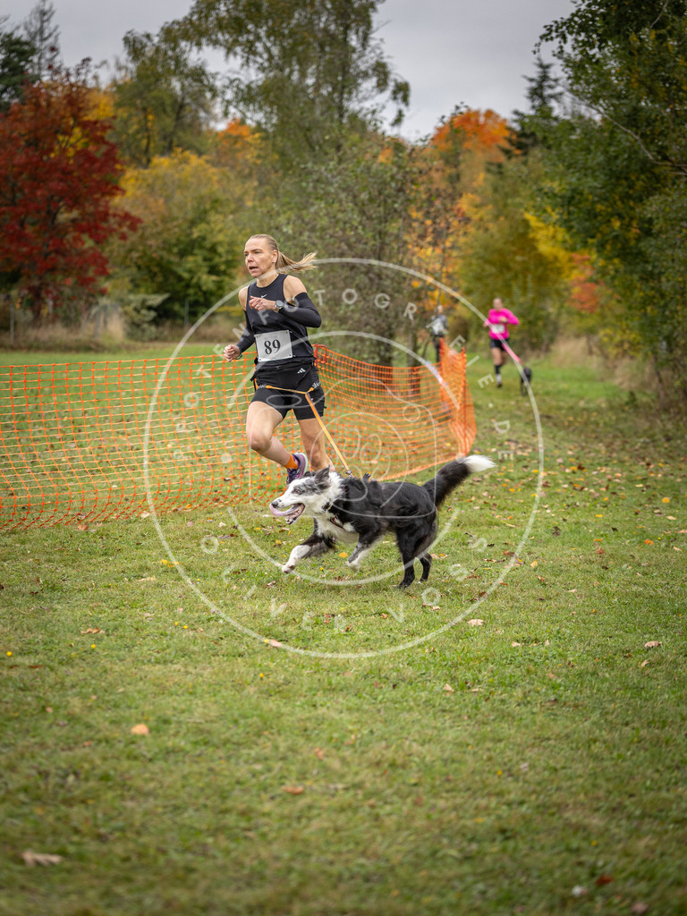 Pfotenfotografie_DV3A3182 | Hundefotografie, Tierfotograf, Pfotenfotografie, Fotoshooting Hund, Hunde Portrait, Hundesport, Hundeportraits, Heideshooting, Hunde, Sportfotograf, Hundefotograf, Turnierhundsport, THS,  - Realisiert mit Pictrs.com