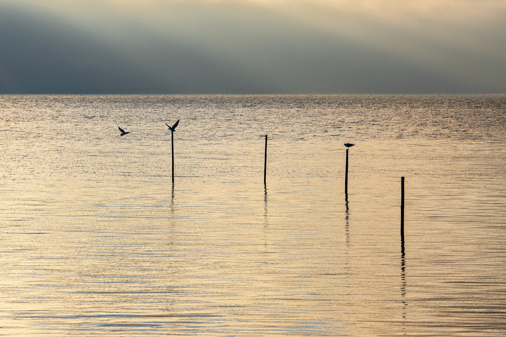 Sonnenuntergang am Achterwasser bei Warthe auf der Insel Usedom | Sonnenuntergang am Achterwasser bei Warthe auf der Insel Usedom.