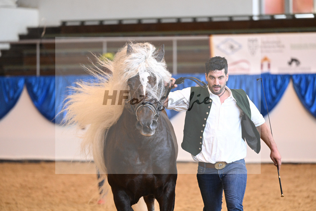 Kat-Nr. 118 Wilano_Meier_53220846 | hf-fotografie - Realizzato con Pictrs.com