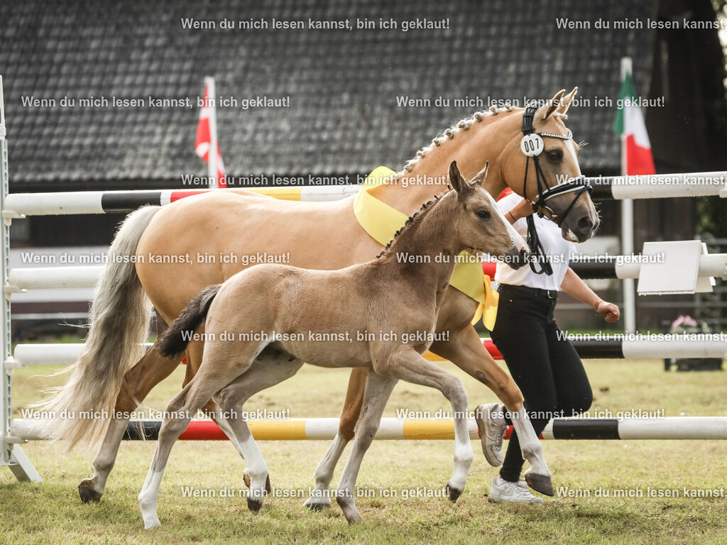 598A2624-2 | photographylinaismer - Realisiert mit Pictrs.com