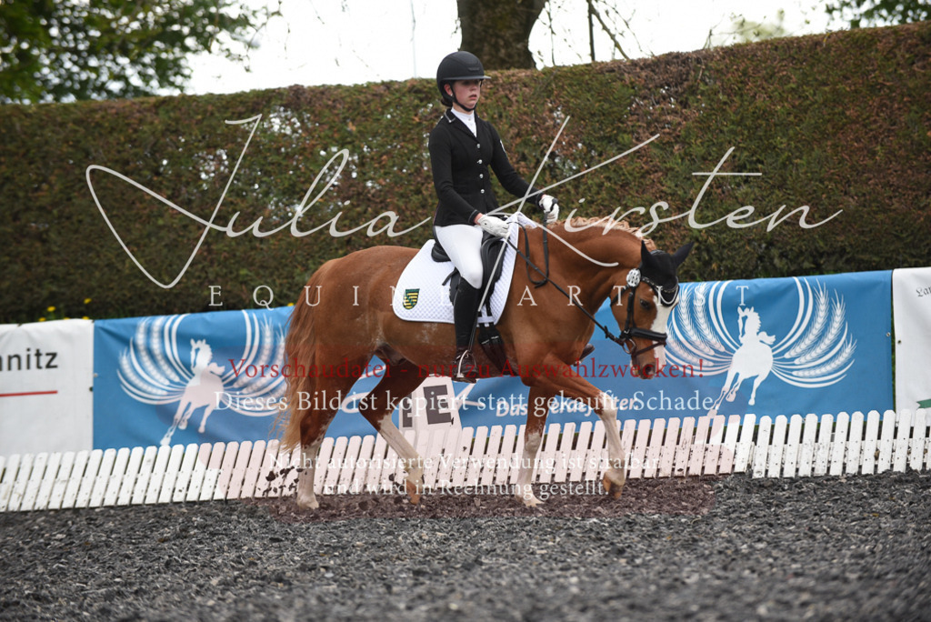 20230513_JK-Röhrsdorf-15-451 | Pferde- und Turnierfotografie in Westsachsen. Pferdeportraits, Auftragszeichnungen und intuitive Kunst.