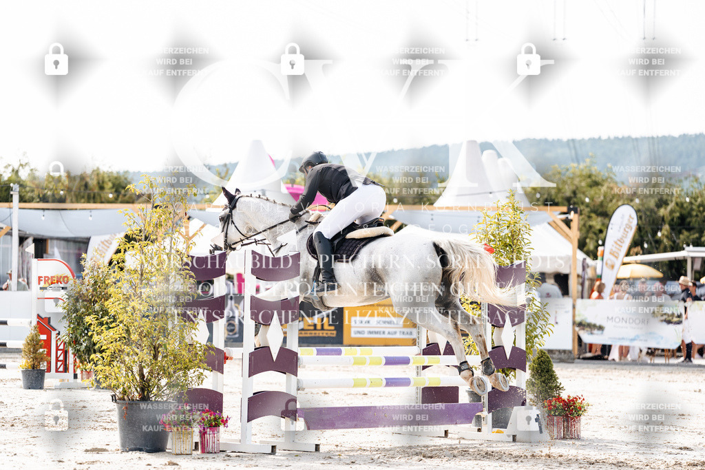 CK905561 | Turnierfotografie Pferdefotografie Trier Rheinland-Pfalz Pferdesport Reitsport Tierfotografie Sportfotografie Pferdevideo Pferdevideografie Equestrianvideography equestrianphotography  - Realisiert mit Pictrs.com