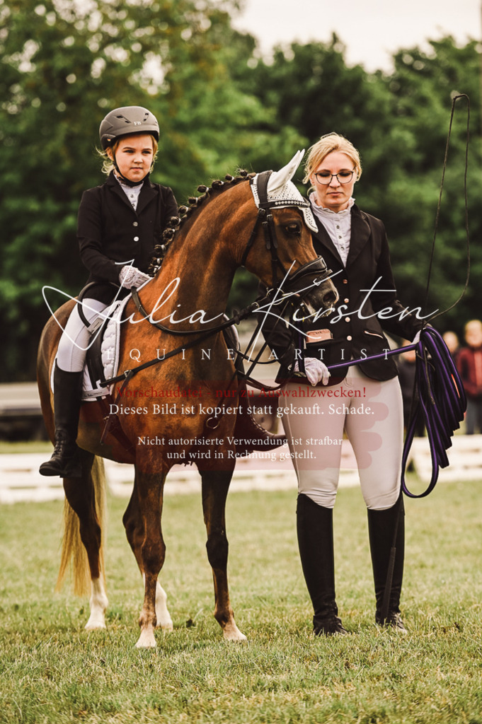 DSC_5263 | Pferde- und Turnierfotografie in Westsachsen. Pferdeportraits, Auftragszeichnungen und intuitive Kunst.