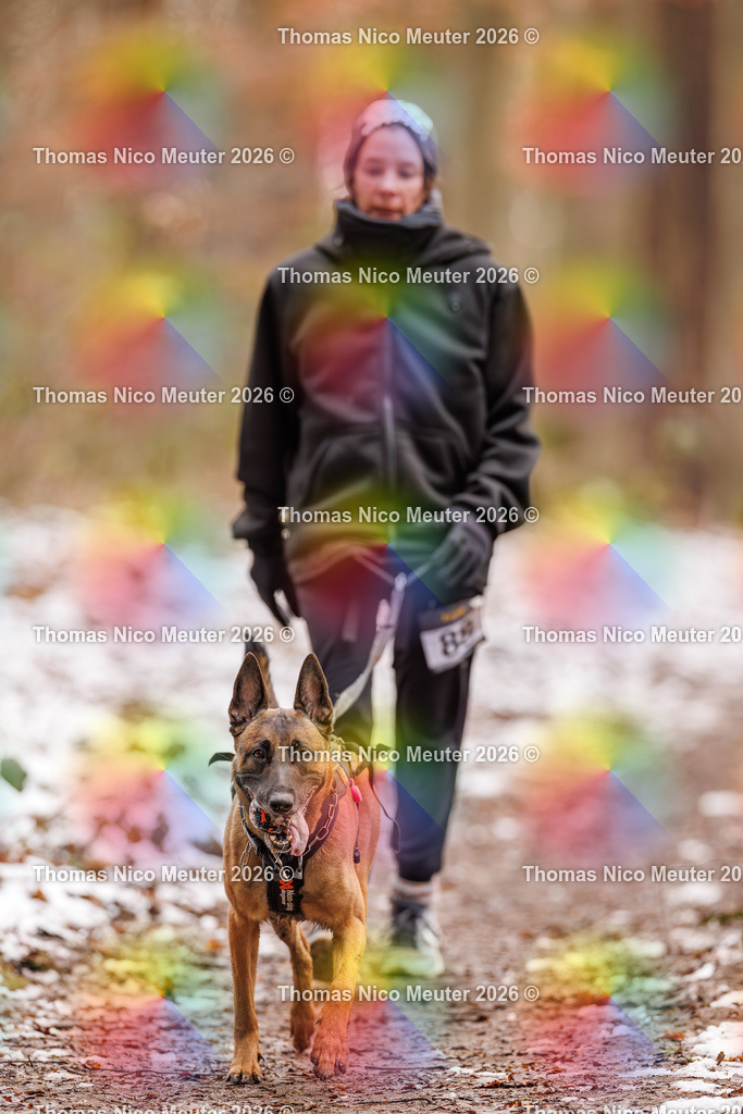 Thomas_Nico_Meuter(C)_223A9343 | Bild von Thomas Nico Meuter - Realisiert mit Pictrs.com