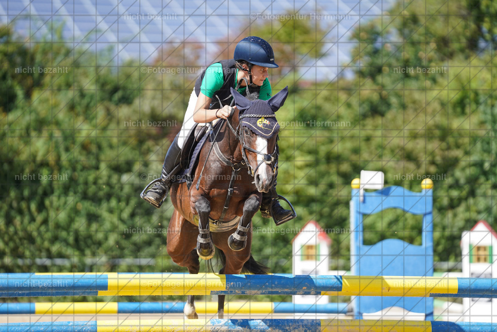 20240824-FAH08240 | Thierhaupten 2024, Bayerisches Landesponyturnier, Turnierbilder, Ponybilder, Turnierfotografen Bayern, Fotoagentur Herrmann