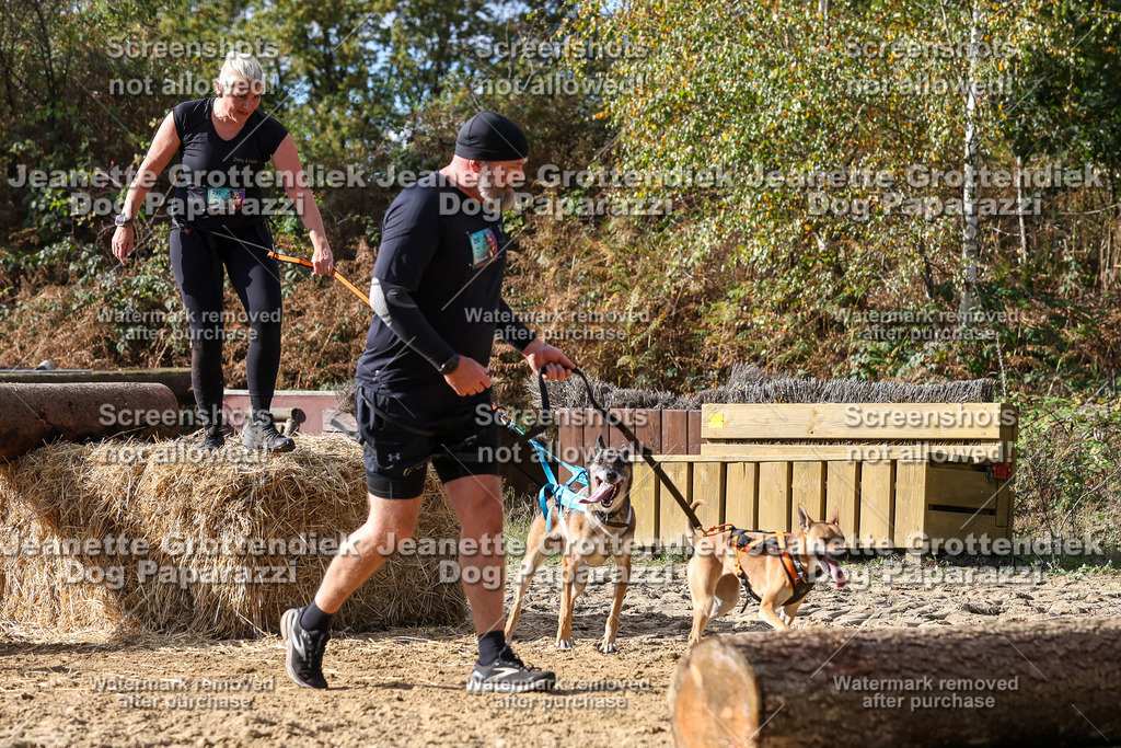Dog Paparazzi - Strongdog 10-25-5305 | Dog Paparazzi Jeanette Grottendiek Fotografie & Videografie - Realisiert mit Pictrs.com